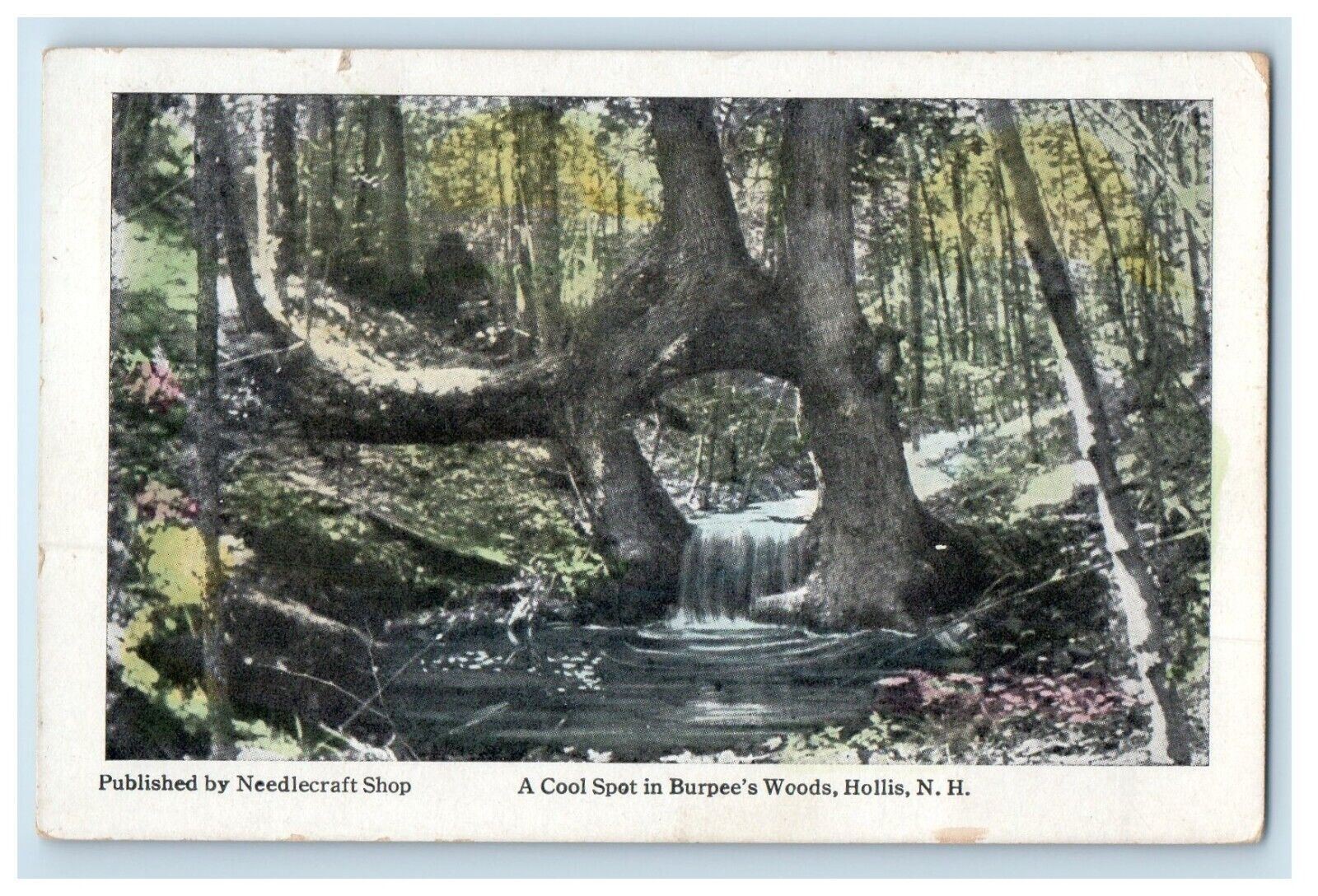 c1910\'s A Cool Spot In Burpee\'s Wood Hollis New Hampshire NH Antique Postcard
