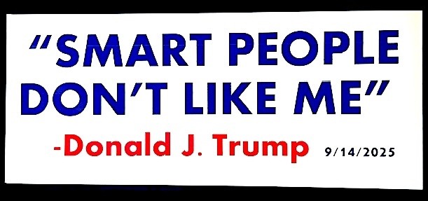 ANTI-TRUMP bumper sticker magnet decal: \