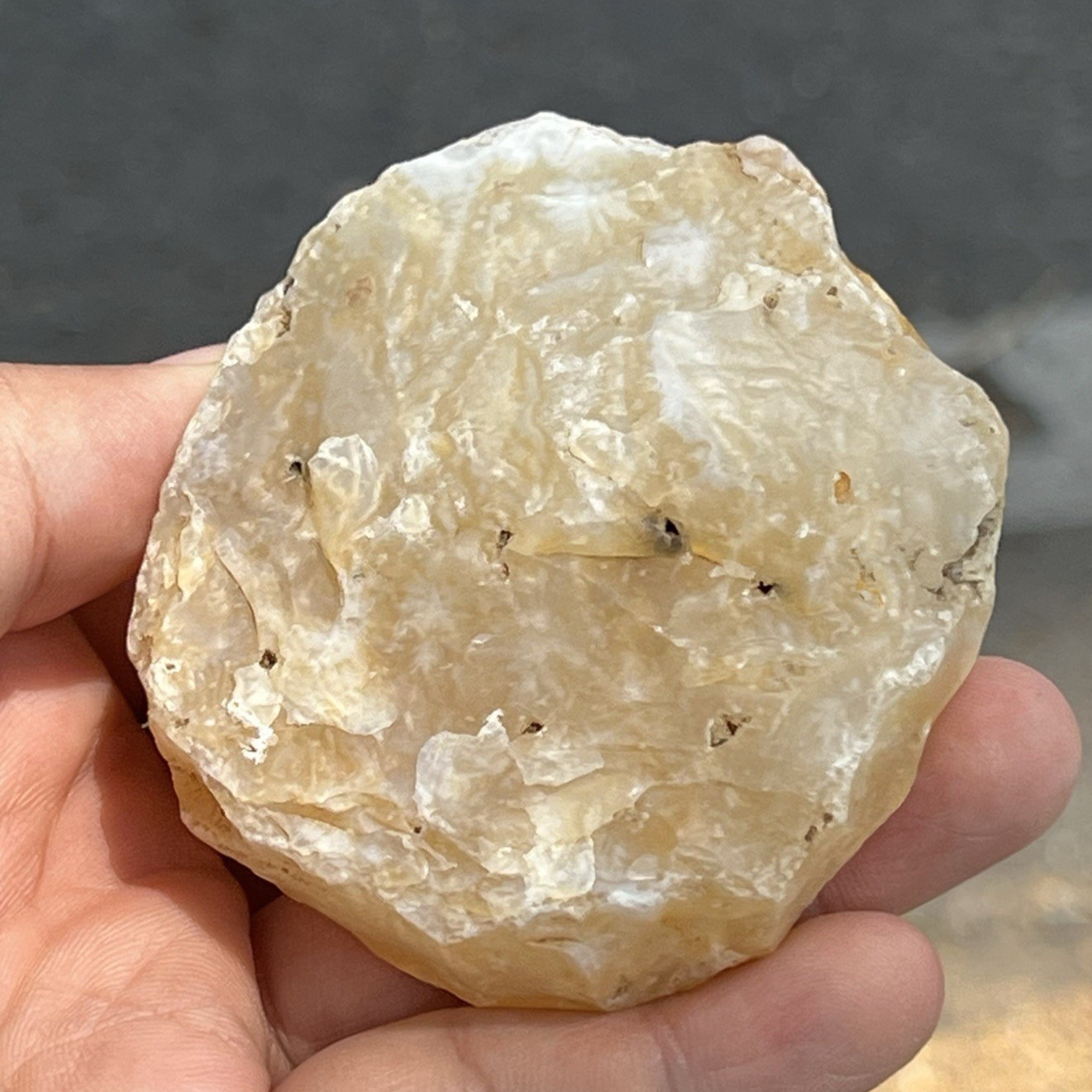 165Gr STONE TOOL ARTEFACT Quadrangle Preform Adze Neolithic & Prehistoric