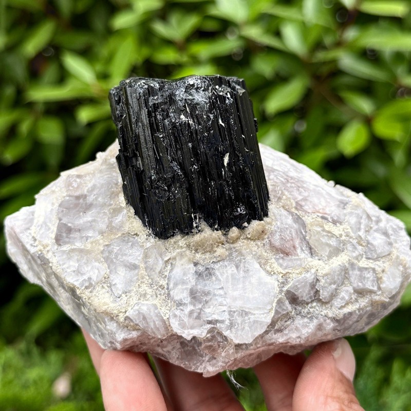 2.14LB Rare black tourmaline and quartzite symbiotic mineral specimen