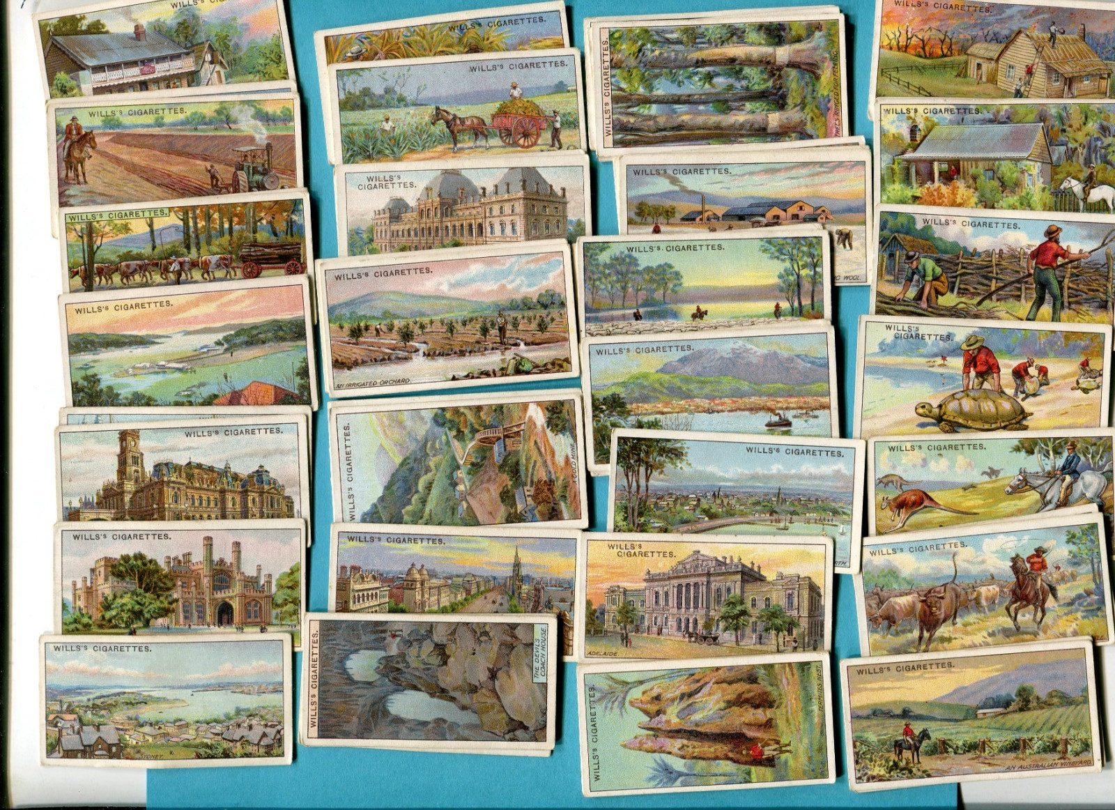 1914 W.D. & H.O. WILLS OVERSEAS DOMINIONS AUSTRAILIA 50 TOBACCO CARD SET