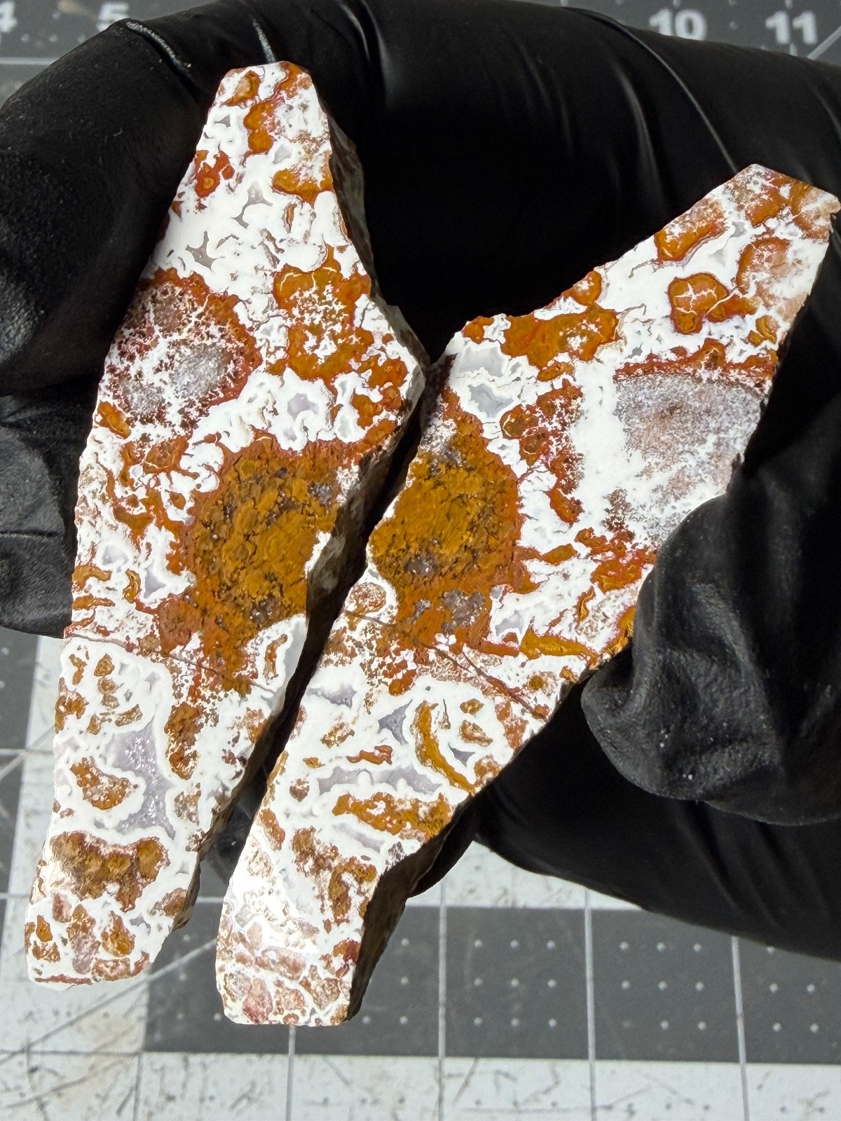 Rare Wingate Plume Agate Death Valley Polished 