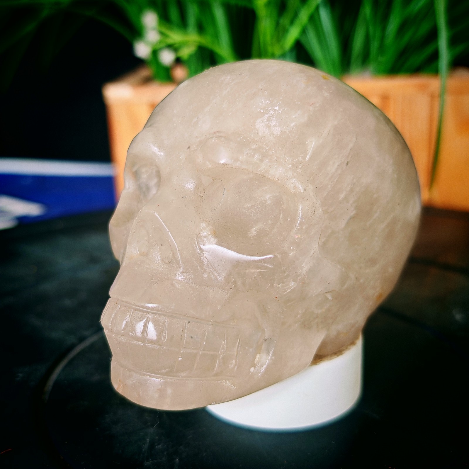 1.76LB TOP Natural Fluorite quartz skull crystal Hand-carved ornament healing