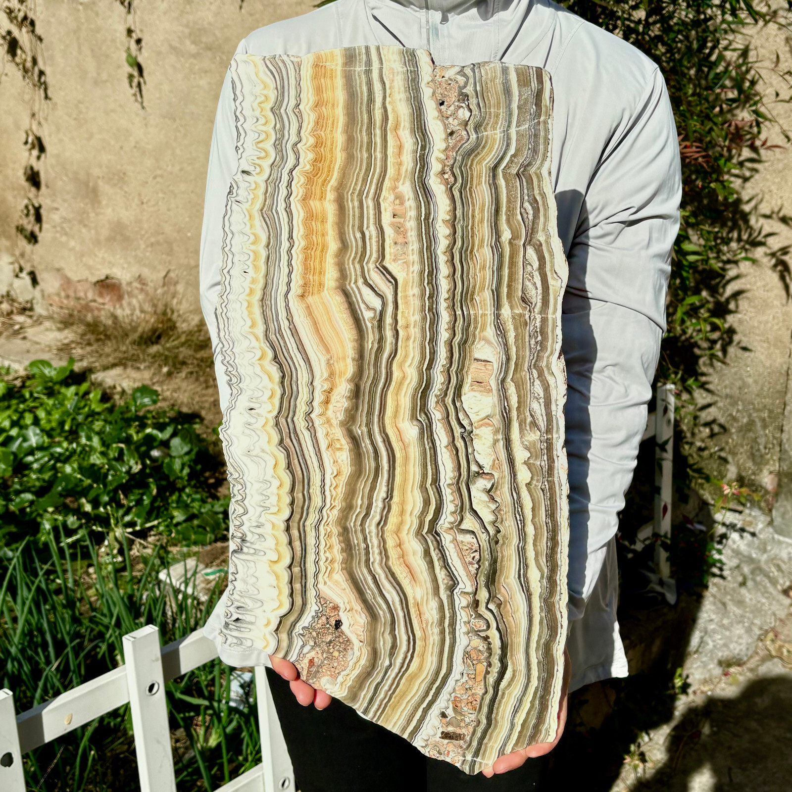 10.44LB Large Natural Banding Zebra Calcite Polished Slab Crystal Reiki Healing
