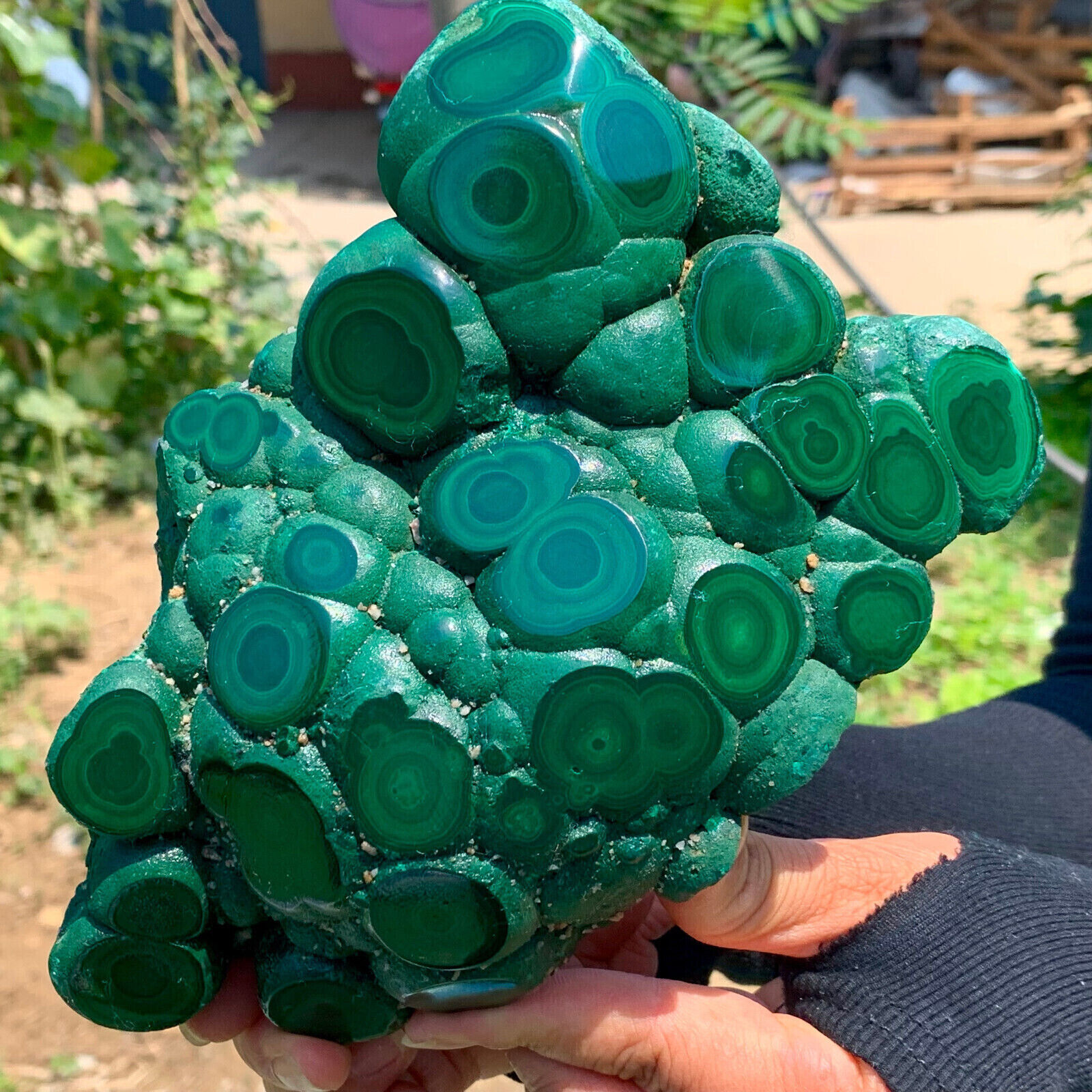3.77LB Natural glossy Malachite transparent cluster rough mineral sample