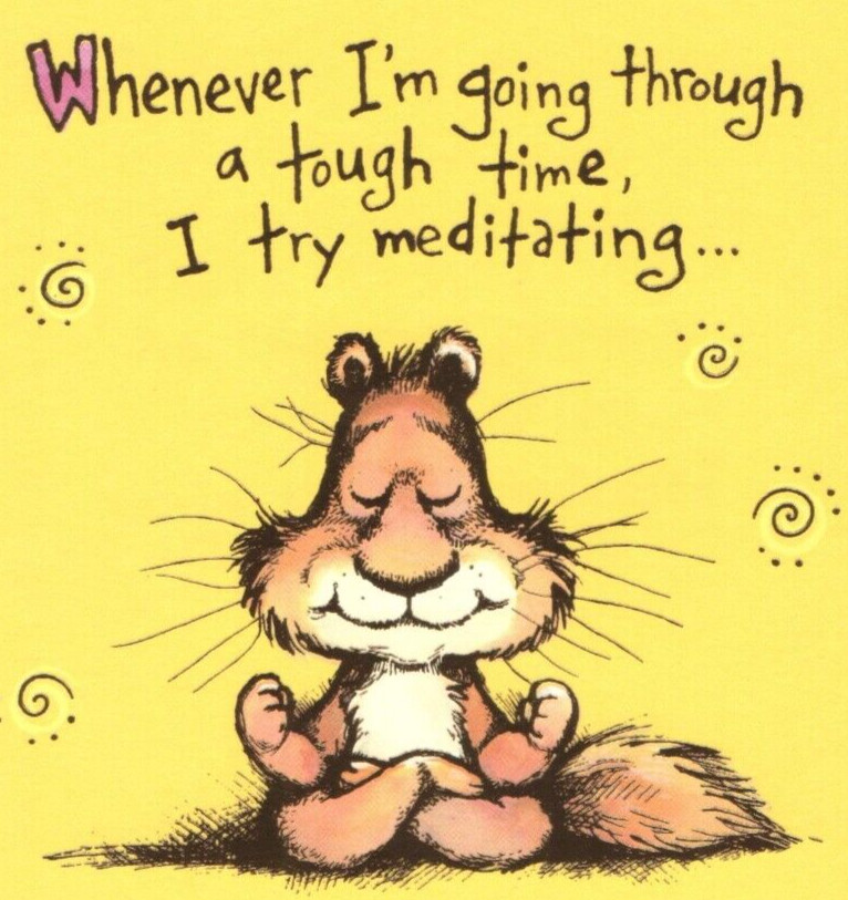 UnUsed Greeting Card &Env Whenever Im going Through a TOUGH TIME I Try MEDITATIN