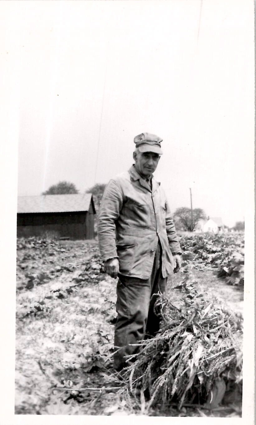 Poor Sad Farmer Tending to His Destroyed Crops ~ 1940s Vintage Photograph