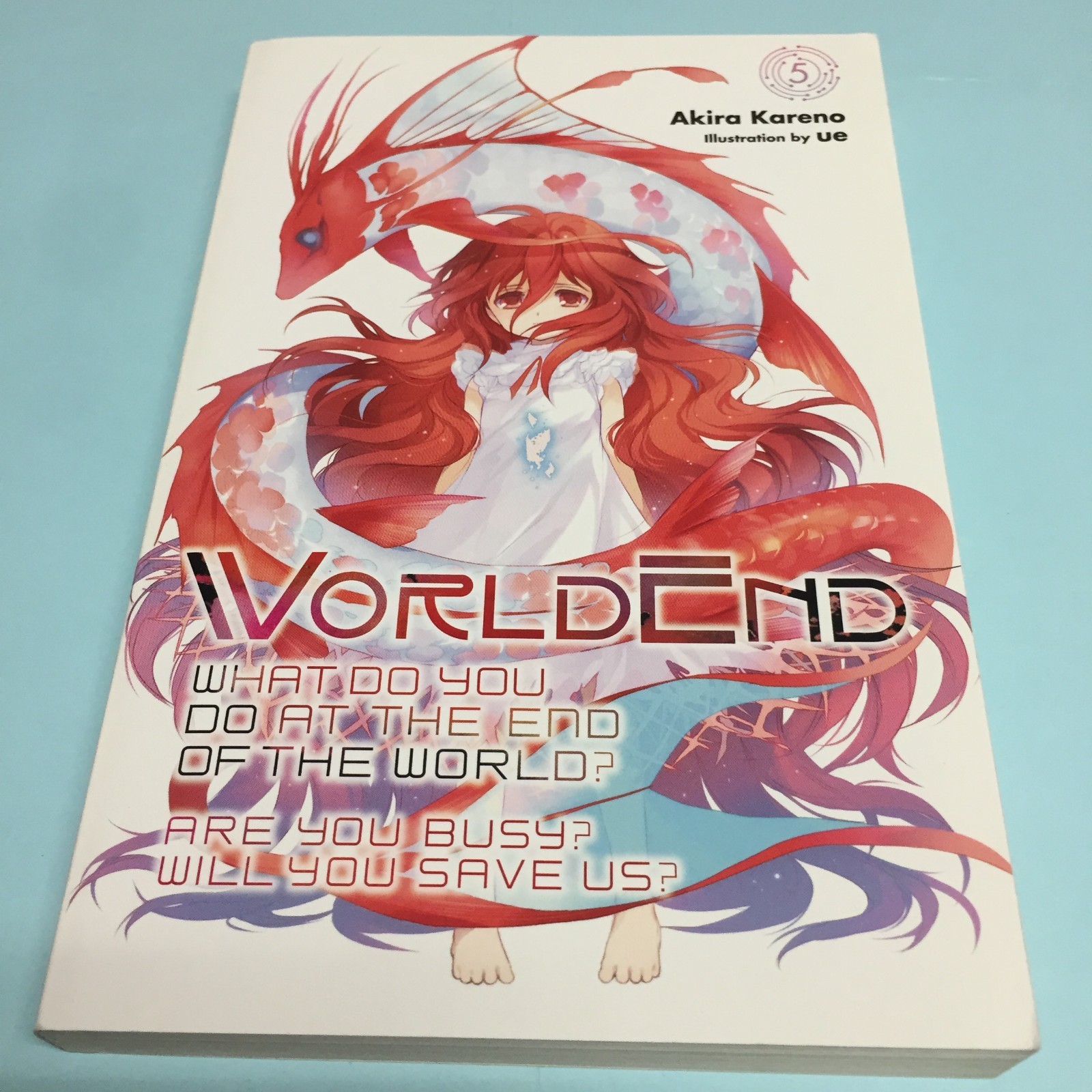 World End WorldEnd Volume 5 Light Novel 5 English Akira Kareno What Do You Do
