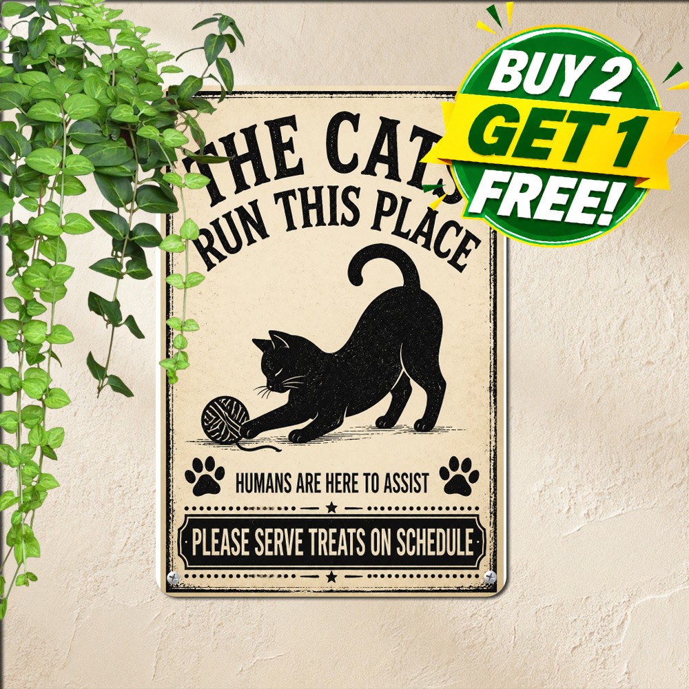 I Didn't Lose My Mind They Stole It Funny Cat Decor Metal Tin Sign 8x12 Inch Art