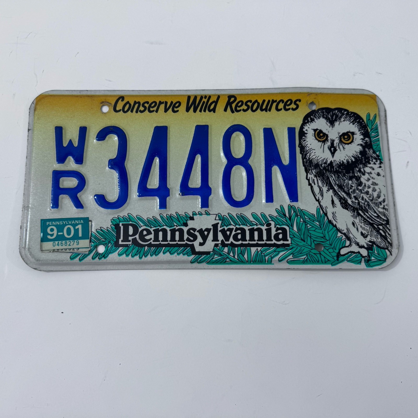 Vintage 2001 Pennsylvania Conserve Wild Resources Owl License Plate WR3448N