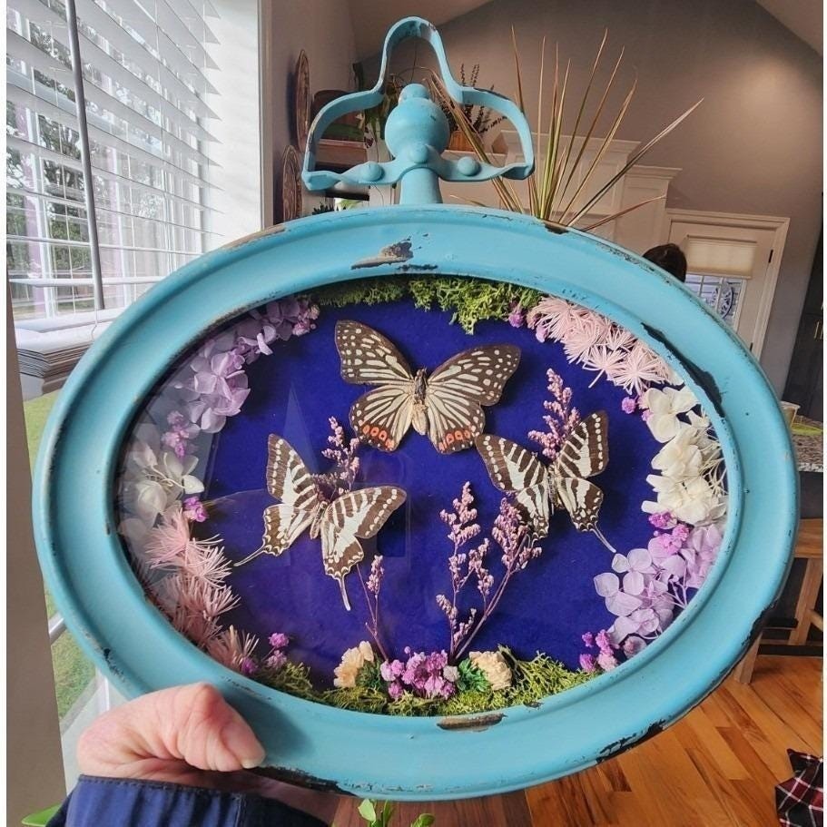 Handmade OOAK Butterfly Taxidermy Shadow Box Framed Wall Art Grandmacore Decor