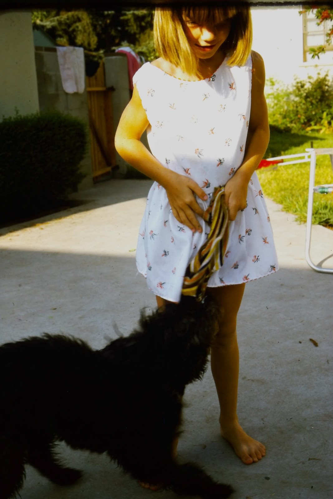 c1970's Kodachrome 35mm Slide, Girl Playing with Dog Outdoors Barefoot black