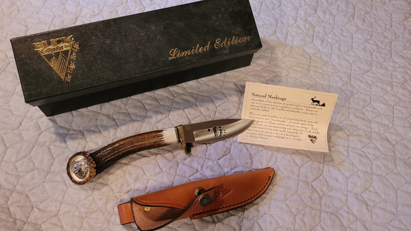 Buck Knives Limited Edition Fixed Blade Hunting Knife Stag Handle Sheath