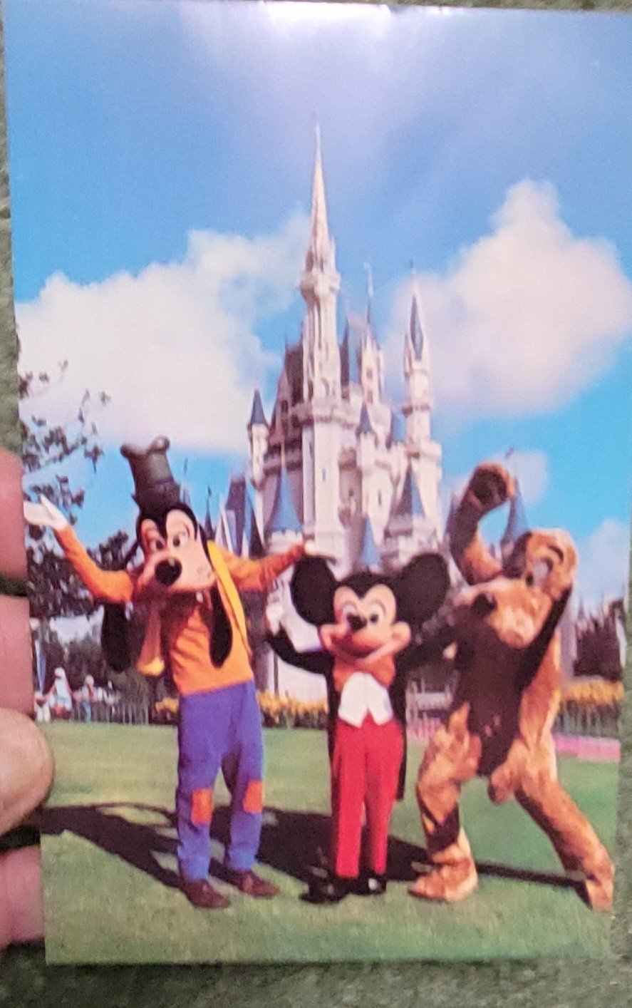 VTG Walt Disney World Mickey Mouse Pals Goofy Pluto Cinderella 1970s  Postcard