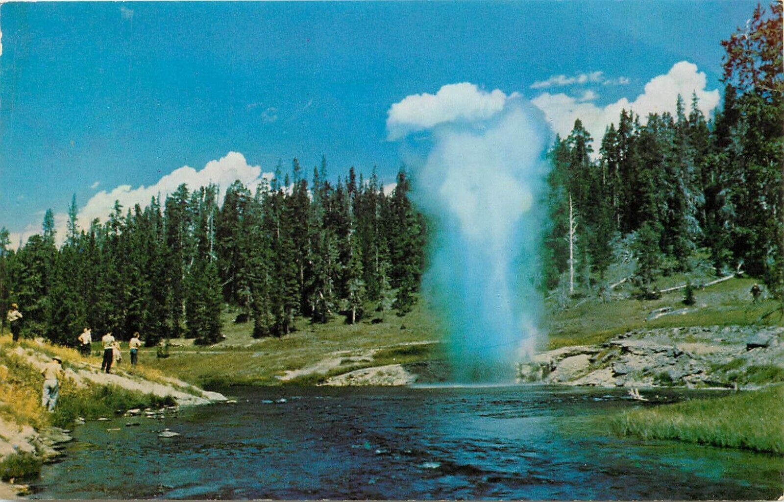 Yellowstone National Park Wyoming WY Riverside Geyser Postcard