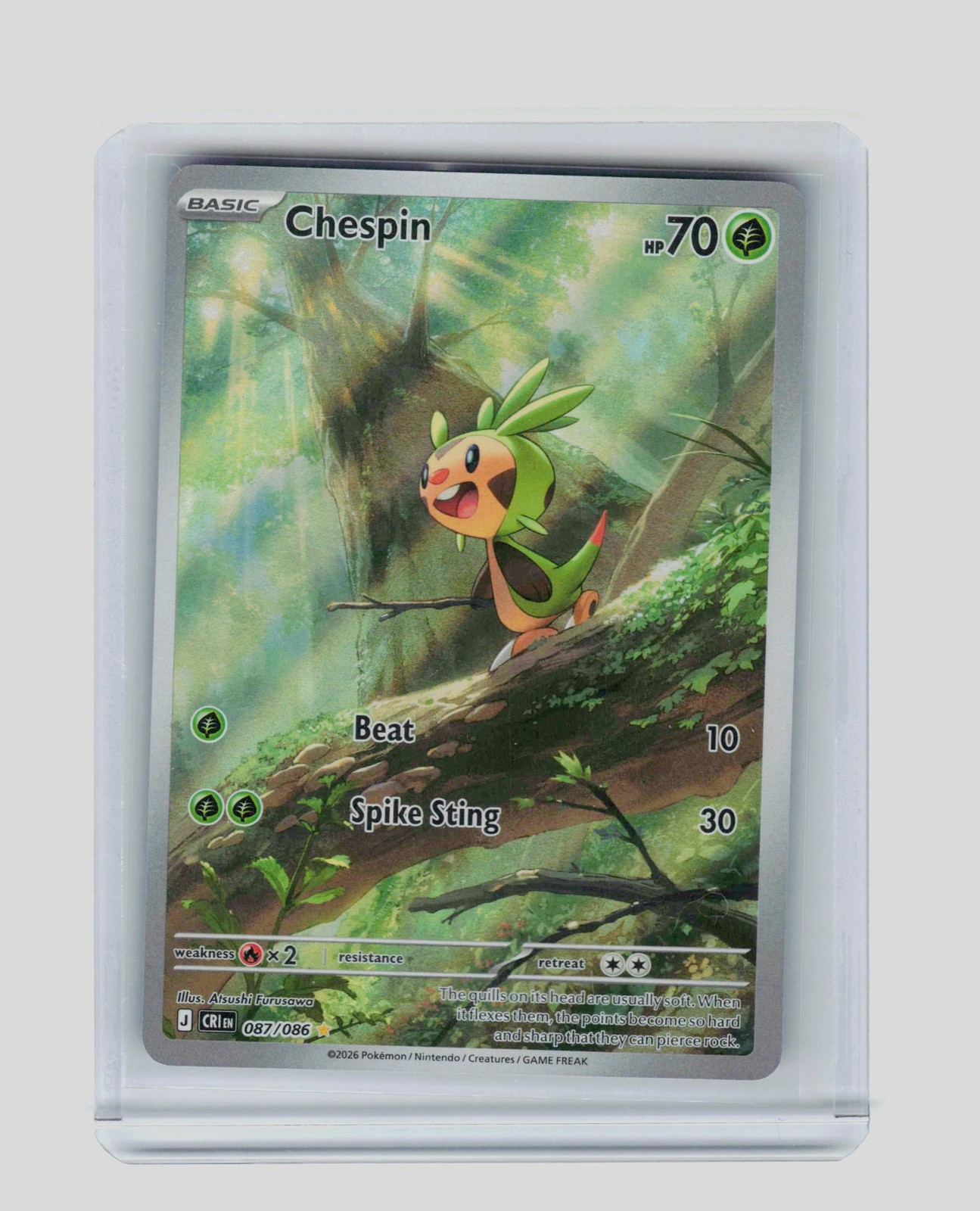 Chespin Holofoil NM EN [CRI - 087/086] Pokemon