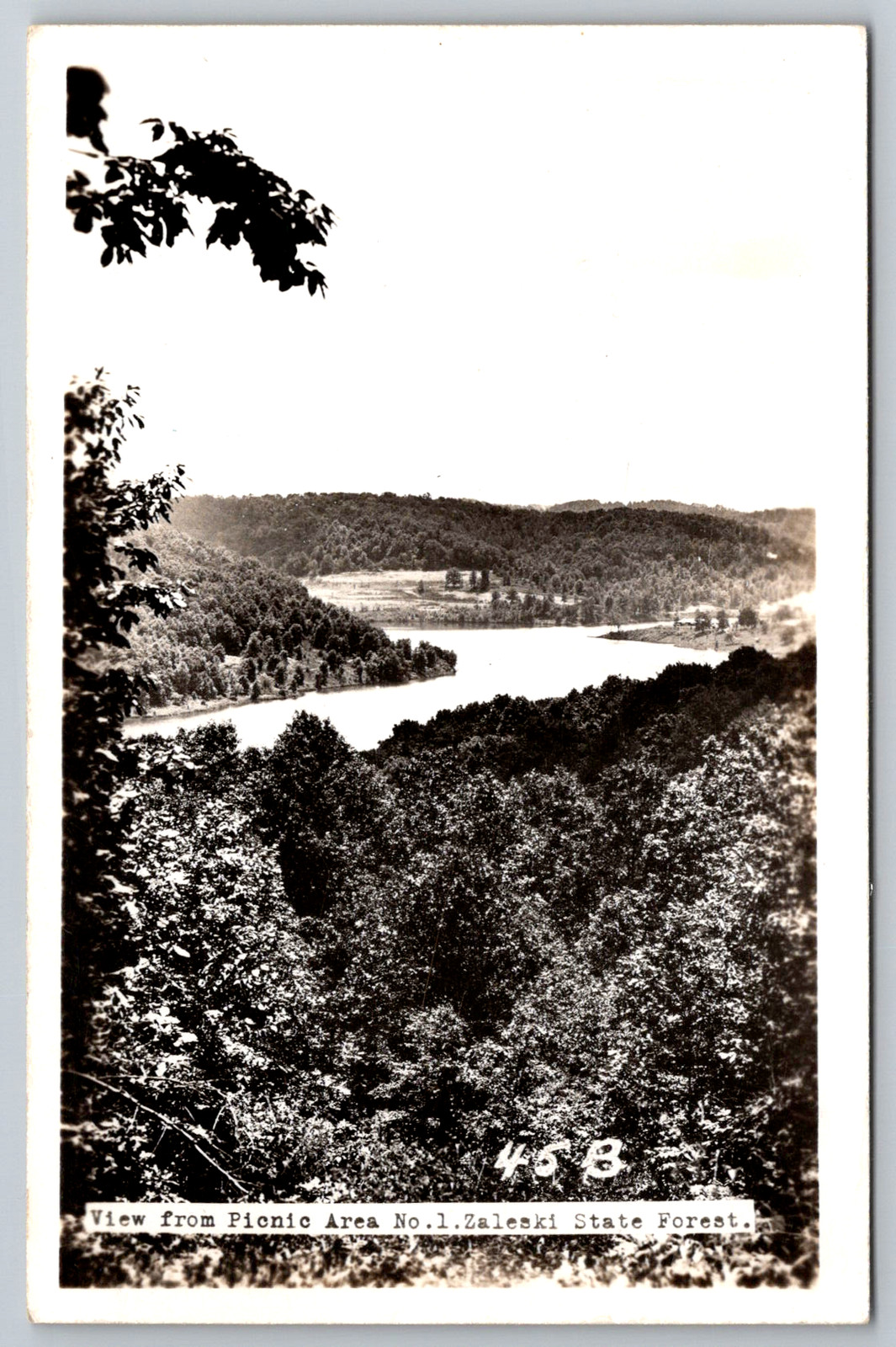 RPPC c1950s View From Picnic Area No. 1 Zaleski State Forest Postcard