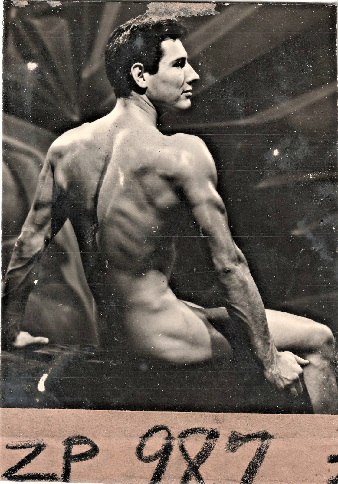 Gay Interest - Vintage   Male Physique Photos  ATHLETIC MODEL GUILD  3.5 x 5