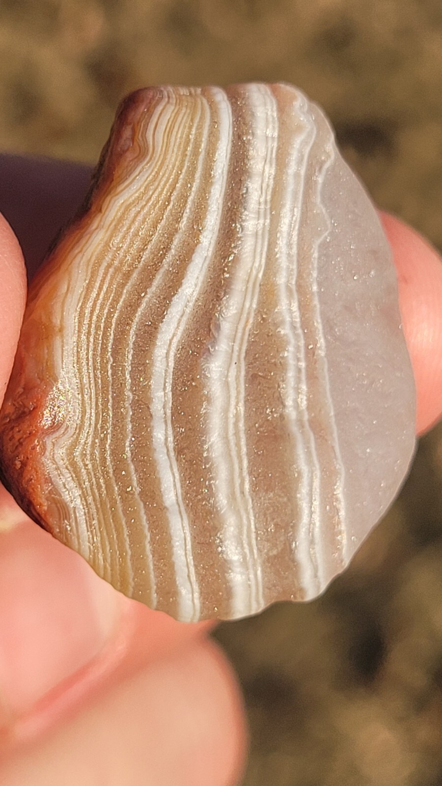 Beautiful 0.8oz Lake Superior Agate LSA - Small but Killer Banded Floater Beautiful 0.8oz Lake Superior Agate LSA - Small but Killer Banded Floater