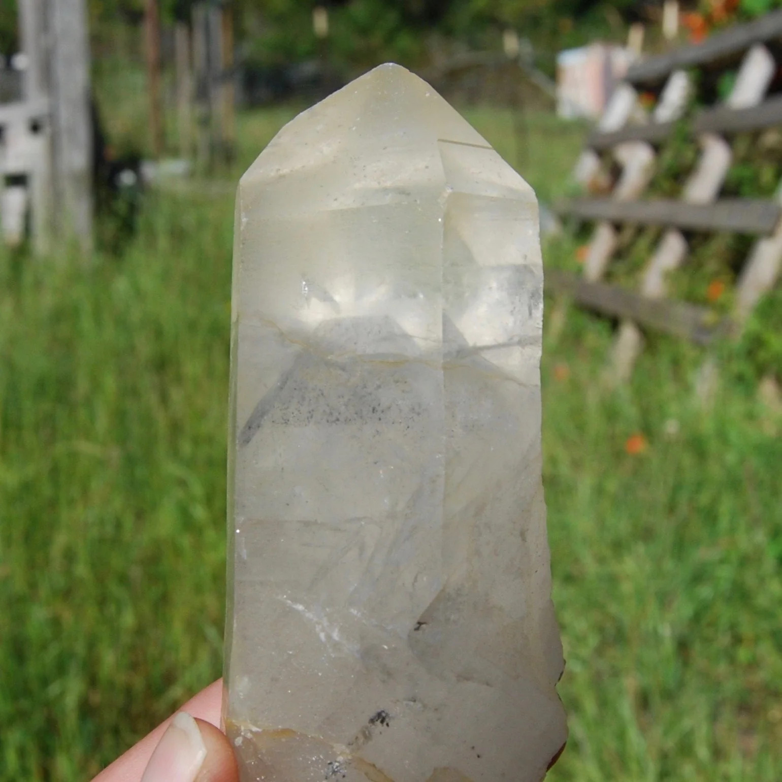 SALE was 280 | 5.25in 388g Isis Face Golden Healer Lemurian Quartz Crystal, Phan
