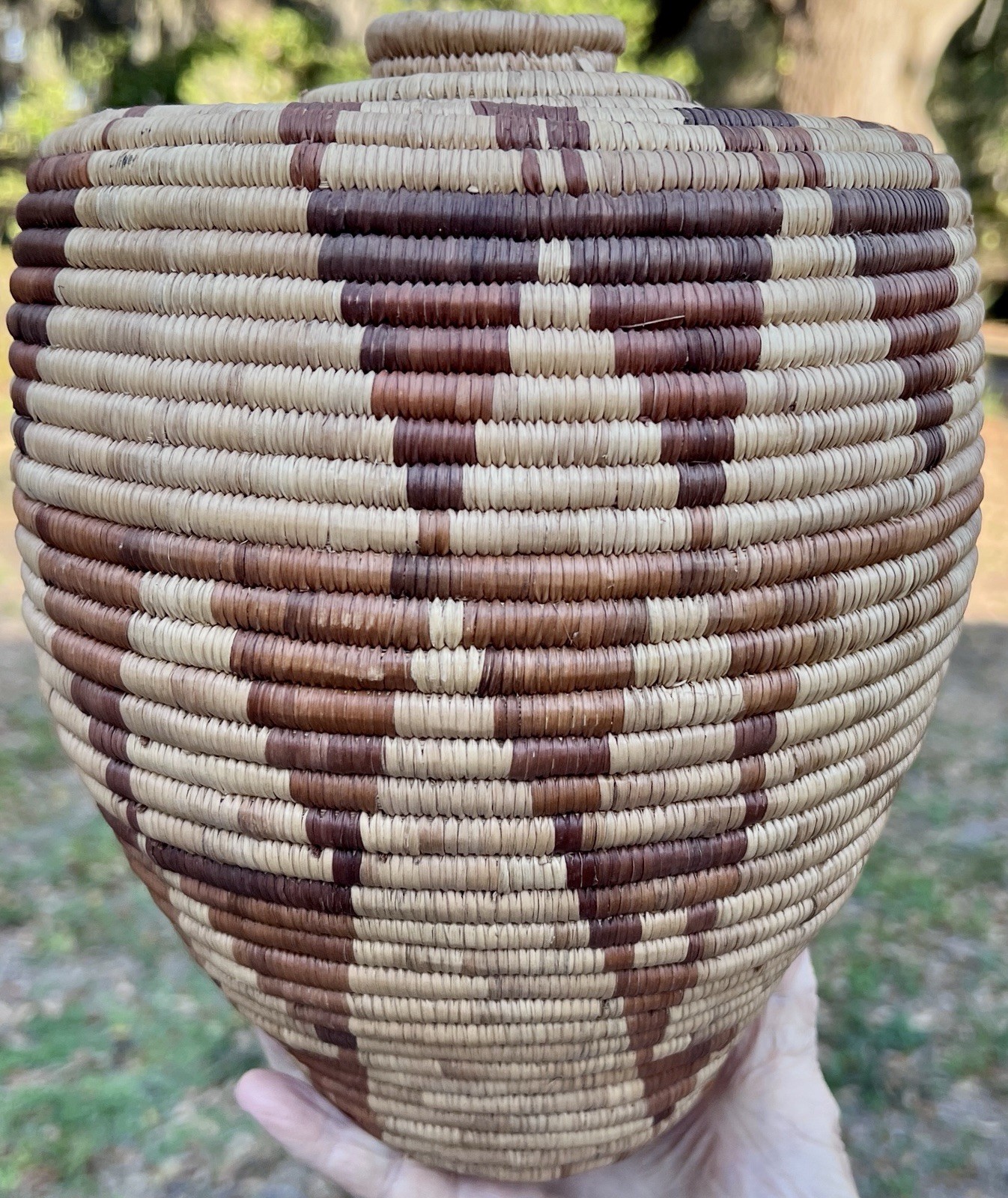 Tohono O'odham (Papago) Native American Coiled Olla Basket 10