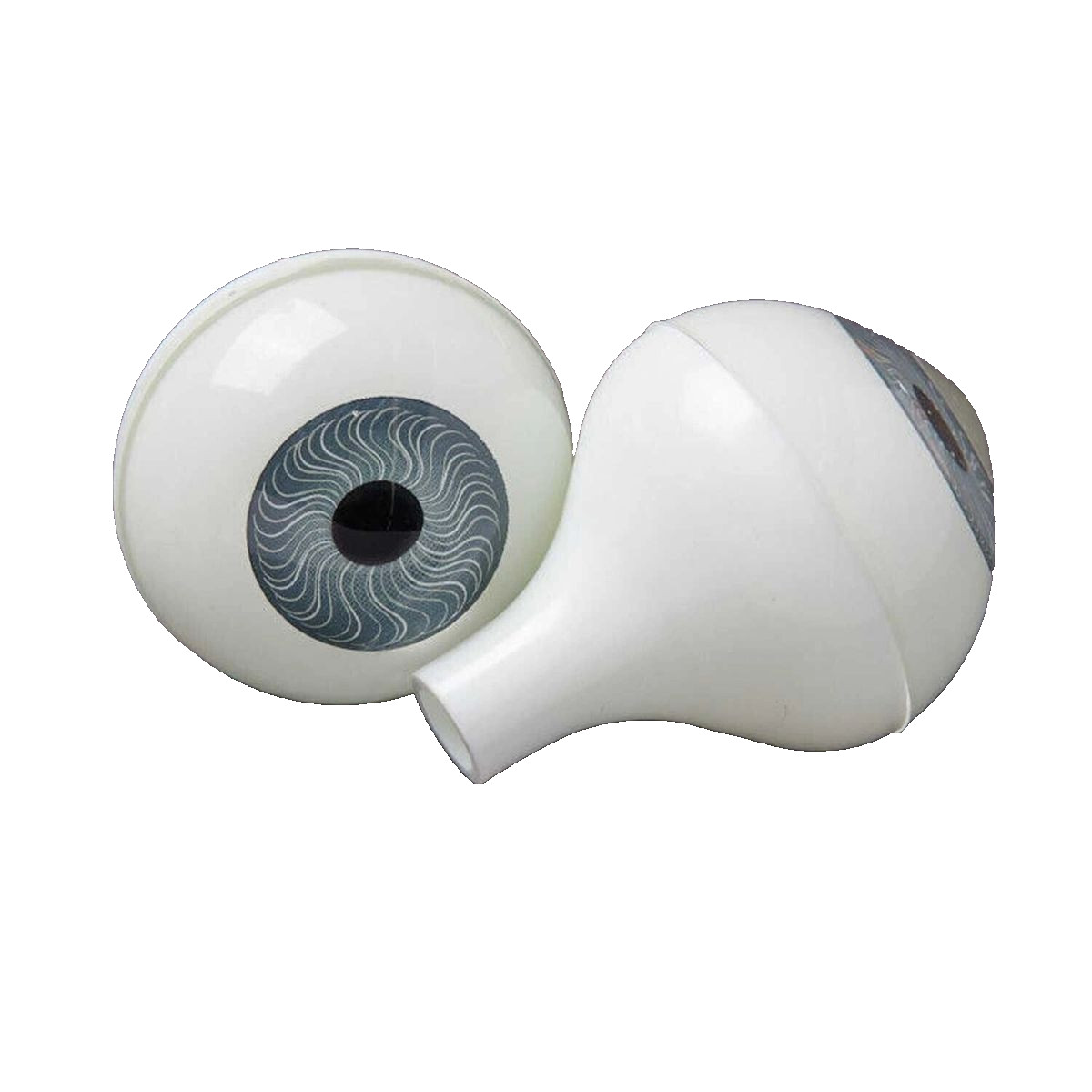 Life Size Adult Human FULL ROUND EYEBALLS w/STEM Body Parts Props Doll Eyes-BLUE