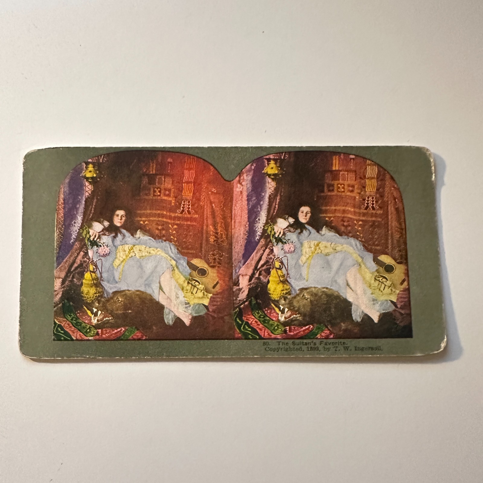 The Sultan's Favorite Antique Stereoview Card 5H6-4