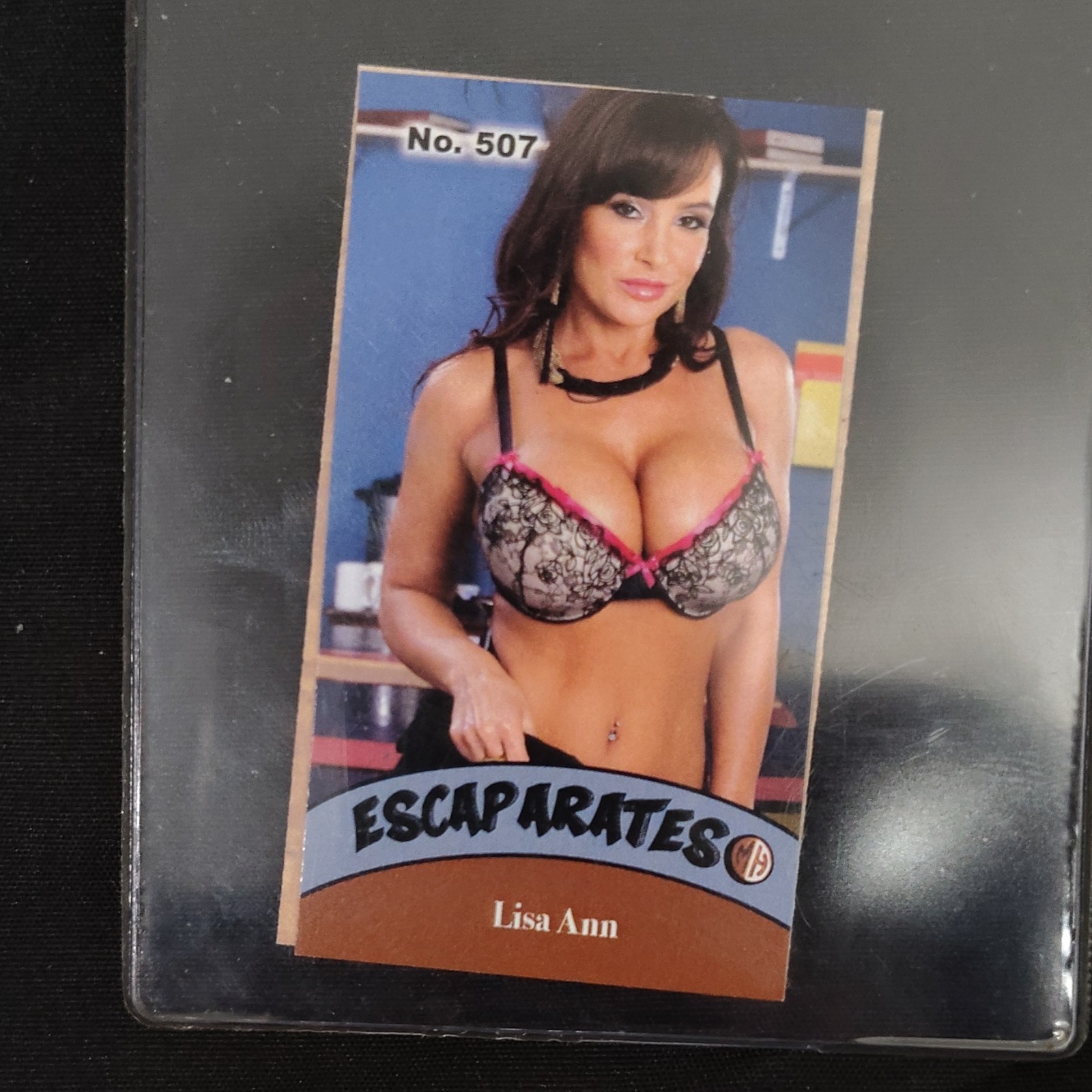 Lisa Ann Collection Card