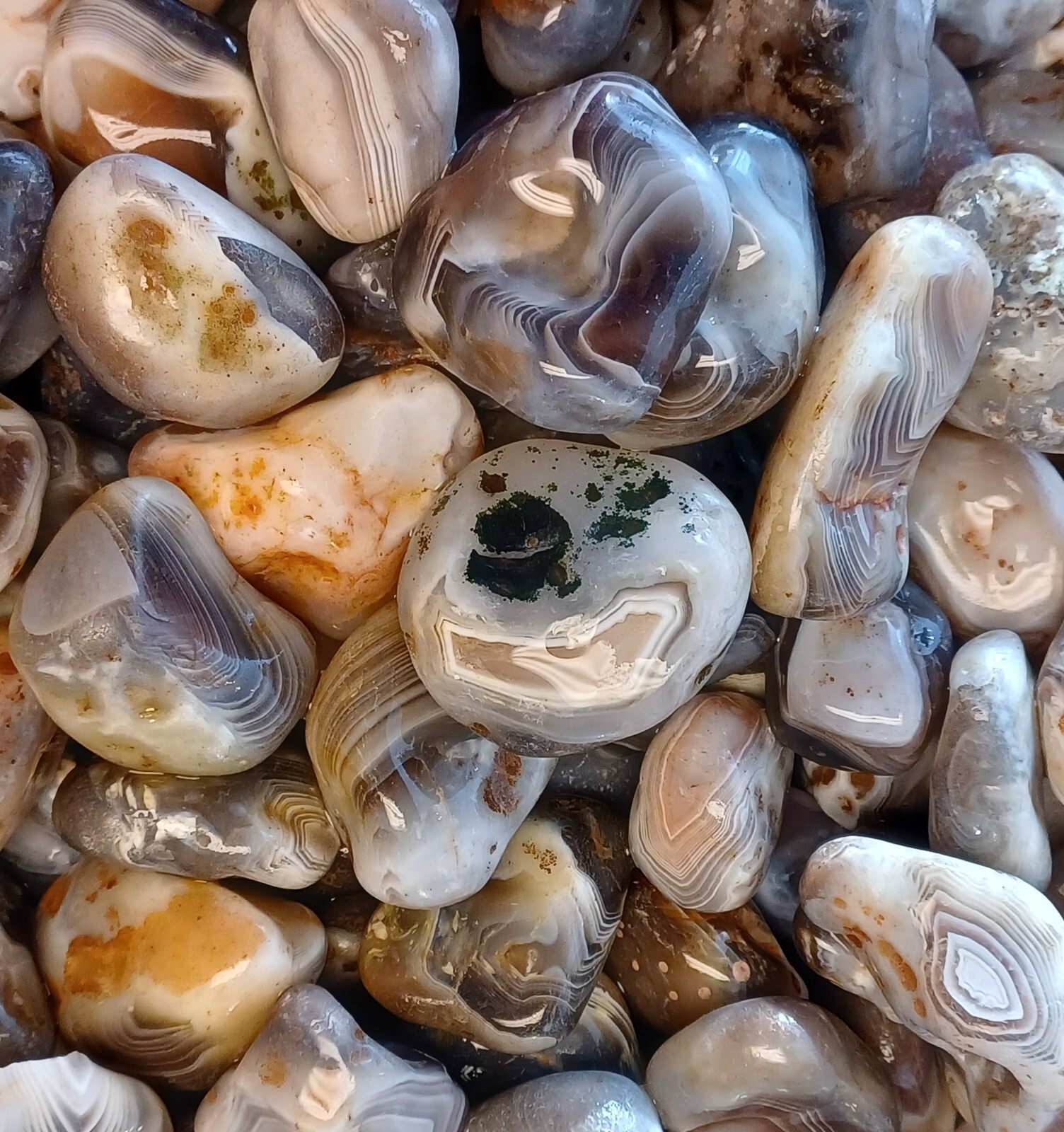Botswana Agate rough 1-2