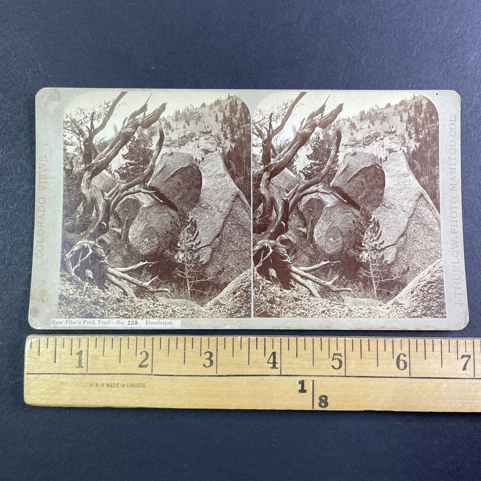 Pike's Peak Trail Stereoview J. Thurlow Manitou Colorado 1870s Desolation
