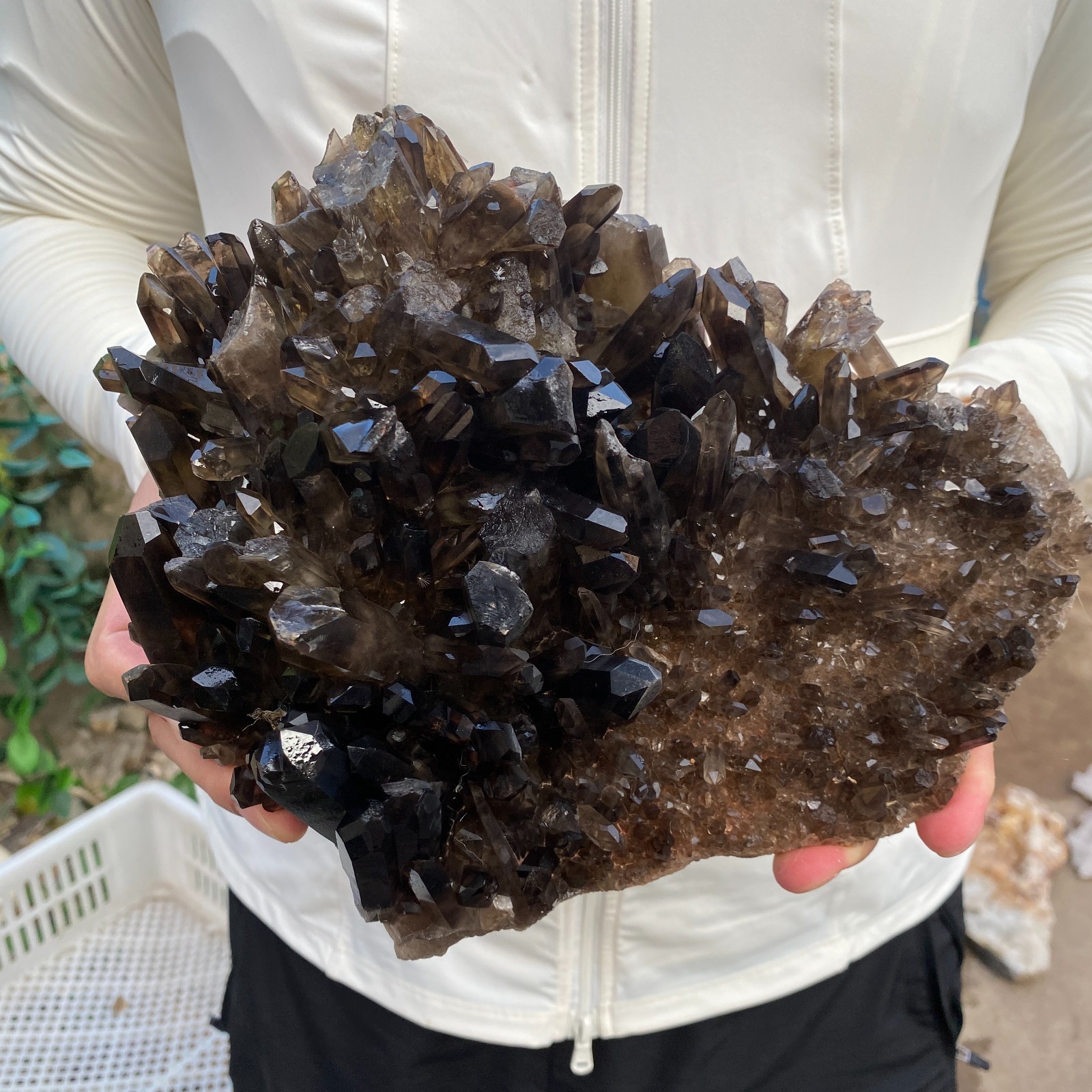 6.2lb Natural Smoky Black Quartz Crystal Cluster Raw Mineral Specimen