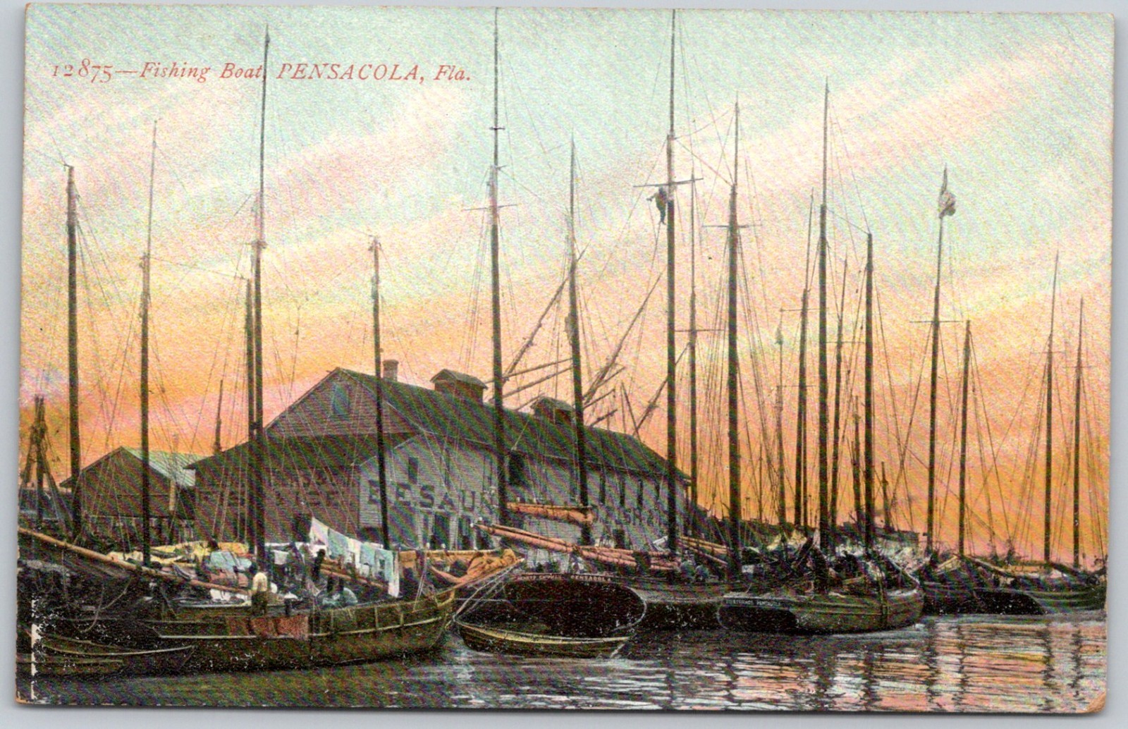 Postcard FL Pensacola Florida Fishing Boats Marina Harbor ca1910s C155