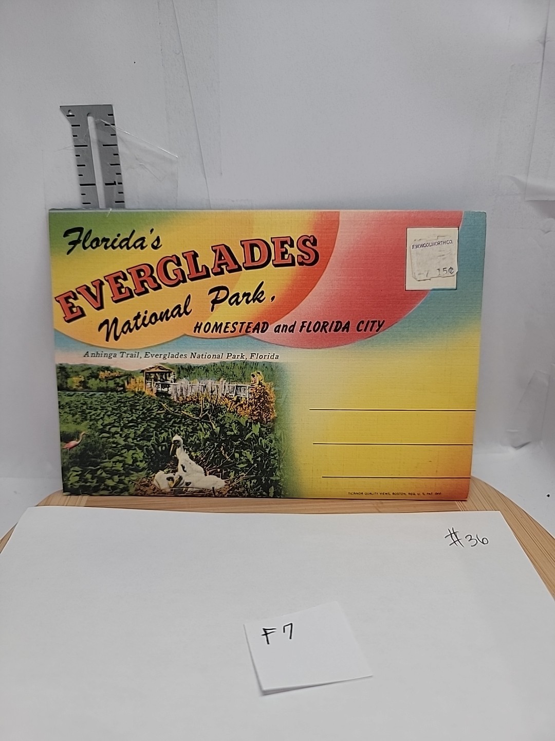 Vintage Florida Everglades Post Card Booklet Tichnor folding pictures unposted