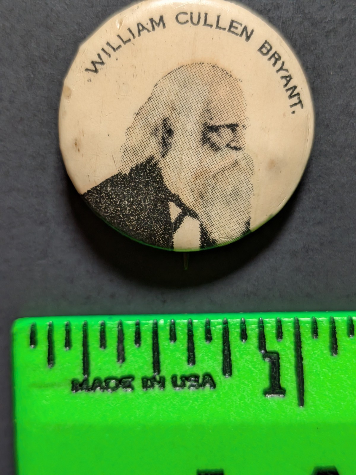 Vintage William Cullen Bryant People of History Pinback Pin Vintage William Cullen Bryant People of History Pinback Pin