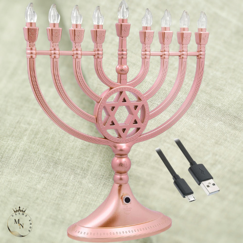 Traditional LED Electric Silver Hanukkah Menorah Battery Or USB Powered Includes