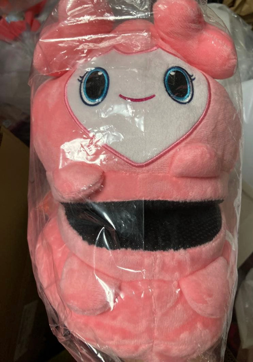 TWICE LOVELYS Momo Plush Plush slippers Room shoes GIGO 2025