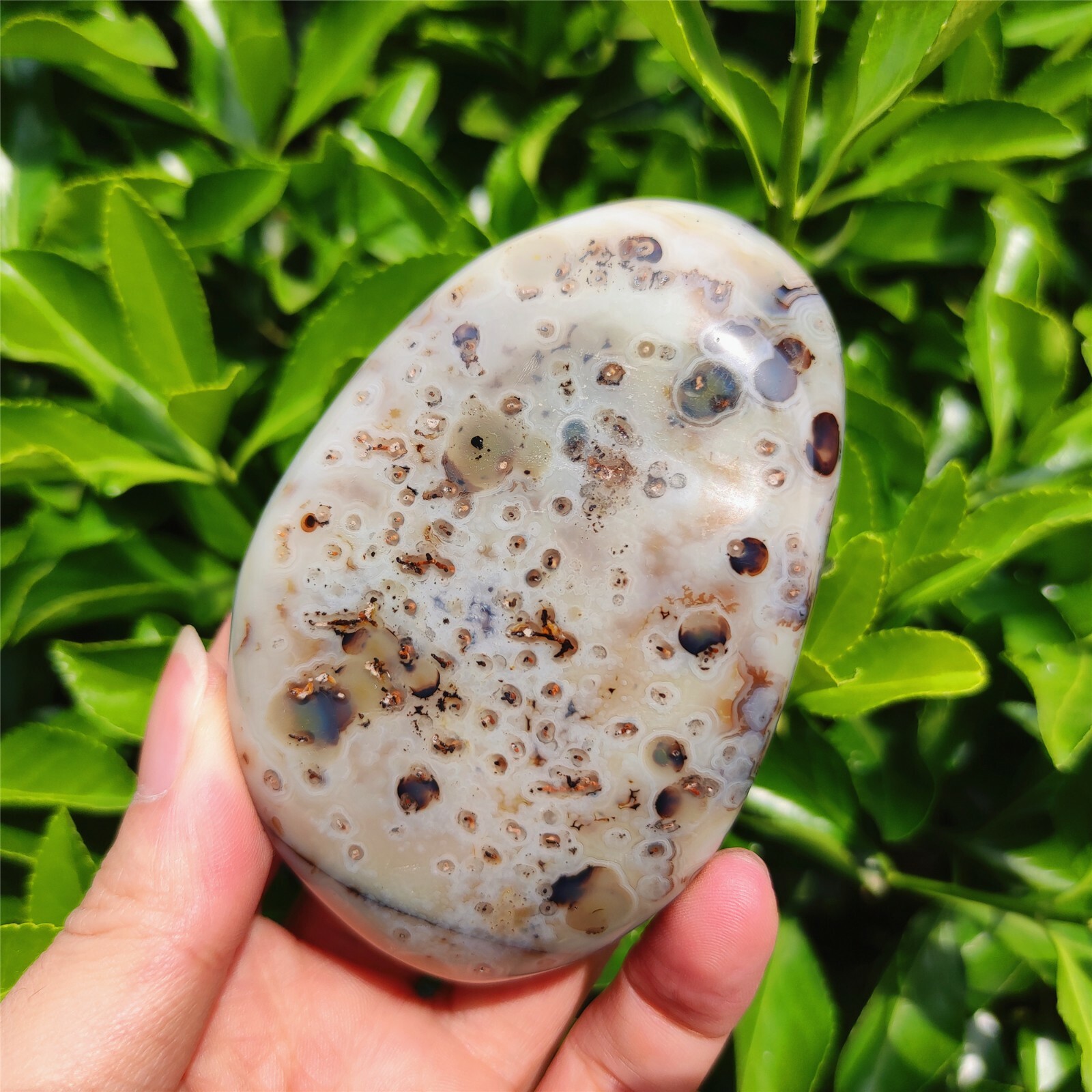 TOP 250G Natural Polished Aquatic Plants Agate Crystal Madagascar C202