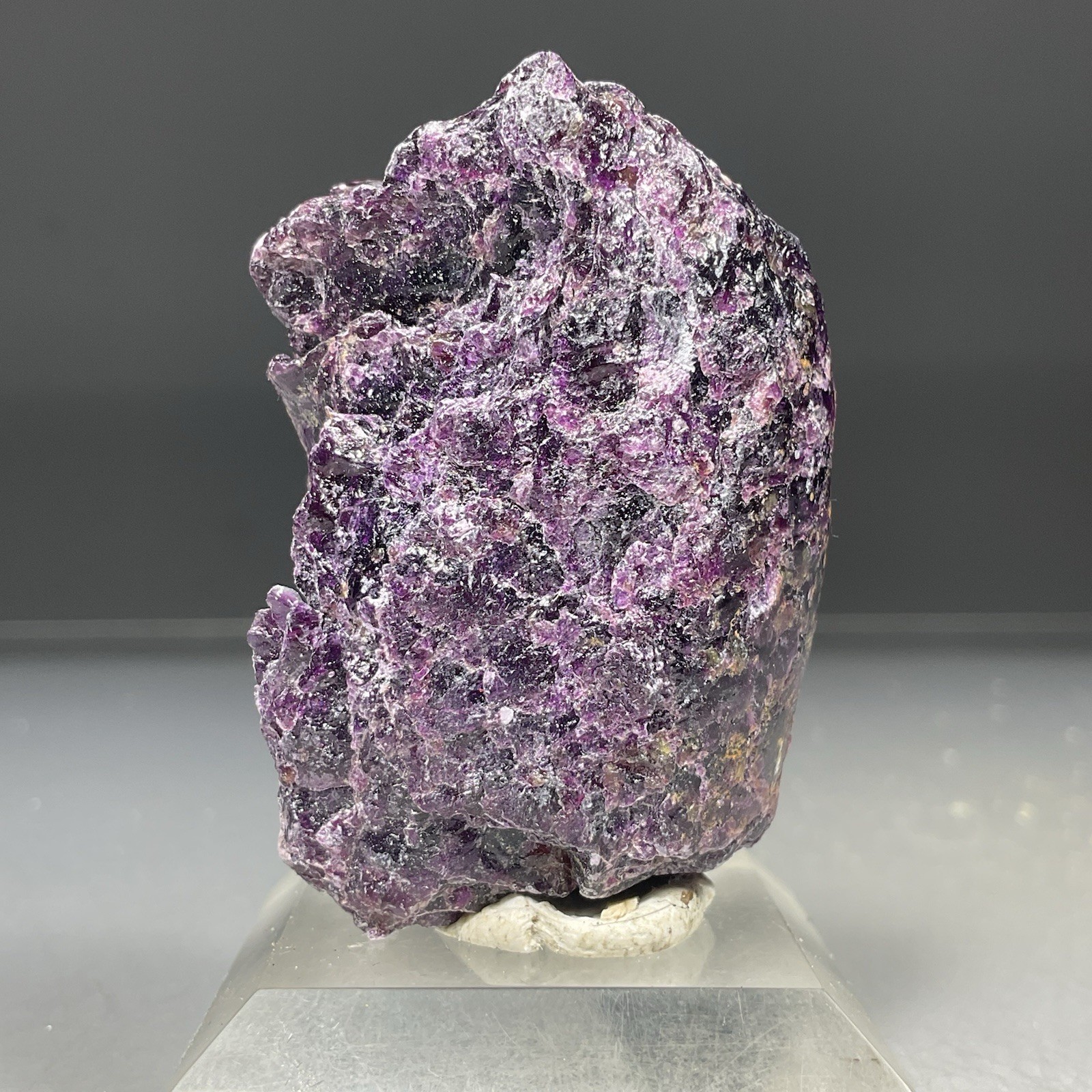SS Rocks - \