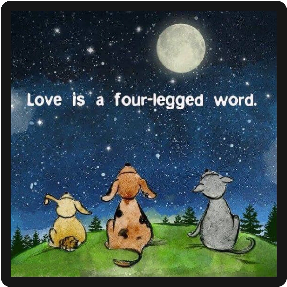  Very Nice Dog Love Is A Four Legged Word Refrigerator Magnet  