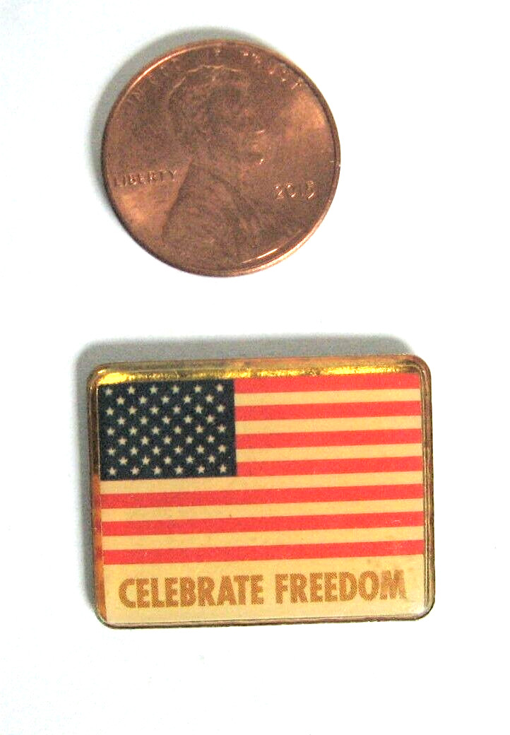 Celebrate Freedom American Flag Pin 1\