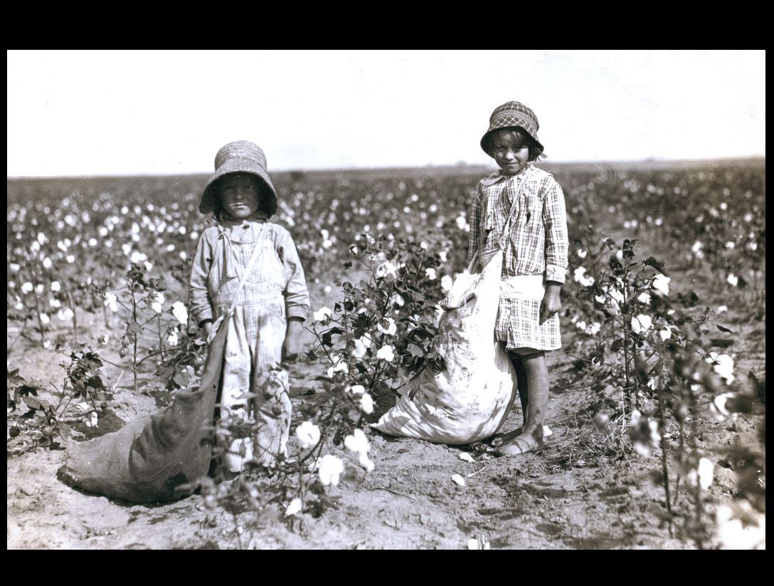 1916 Boy Girl Children Picking Cotton Pickers Oklahoma 8x10 Photo Reprint