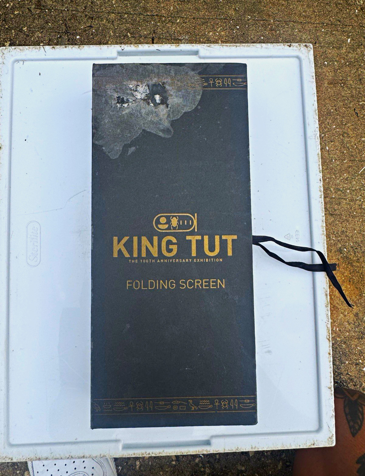 King Tut Egyptian Style Folding Screen, Plastic, Black/Gold Multicolor