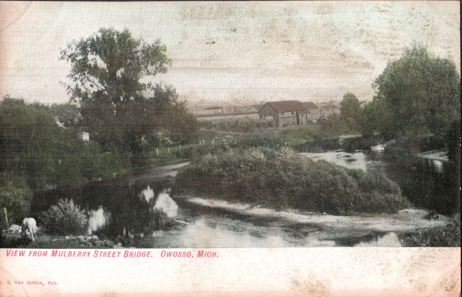 Postcard c1910 Owosso Michigan Mulberry St Bridge Shiawassee River White Horse