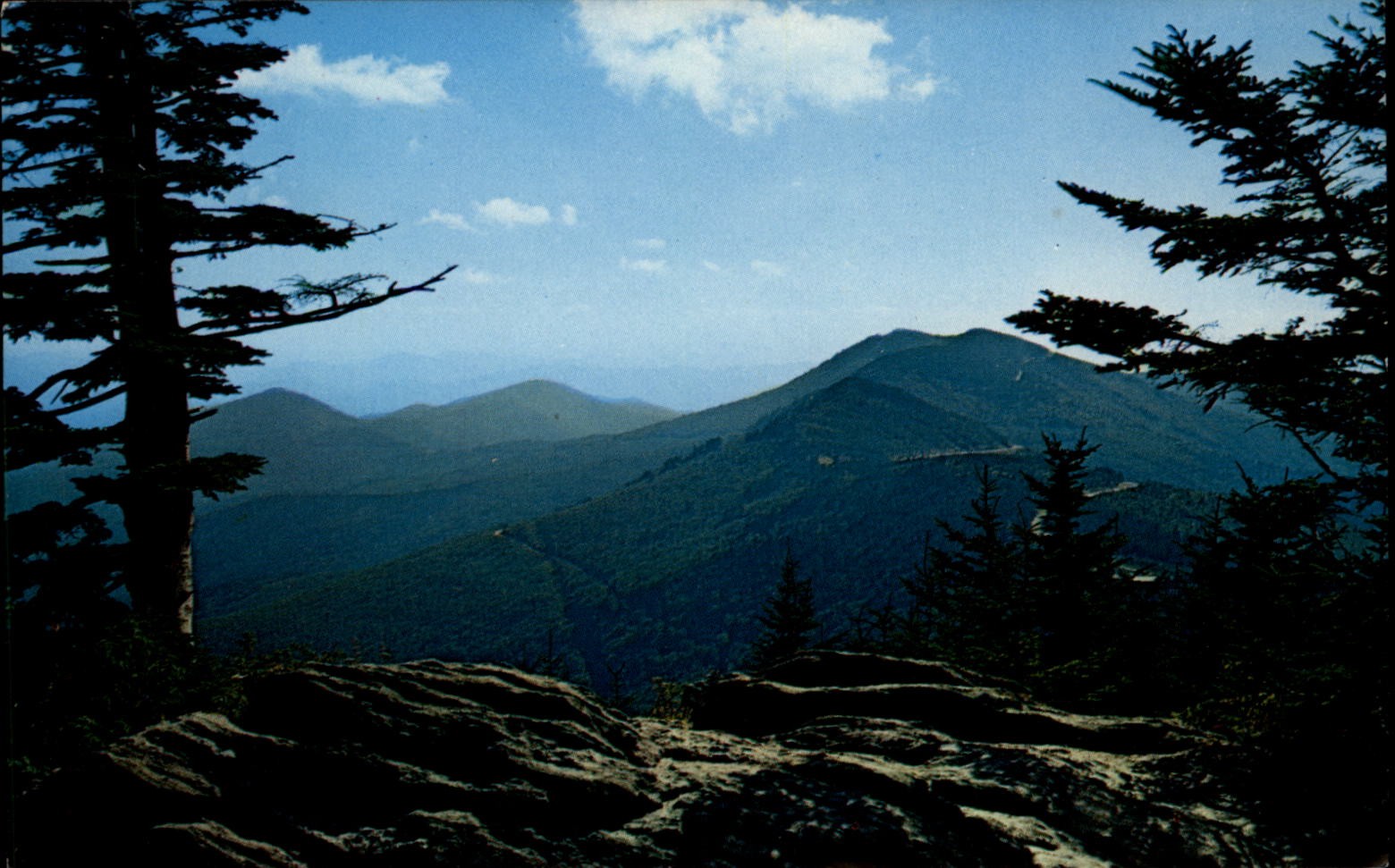 Mount Mitchell State Park North Carolina view vintage postcard c192