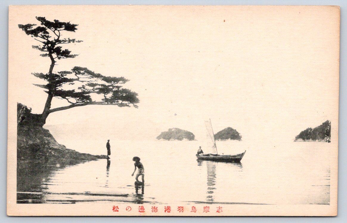 Antique Japan Postcard TOBA Harbor Pine Tree Shima 1910s Antique Japan Postcard TOBA Harbor Pine Tree Shima 1910s