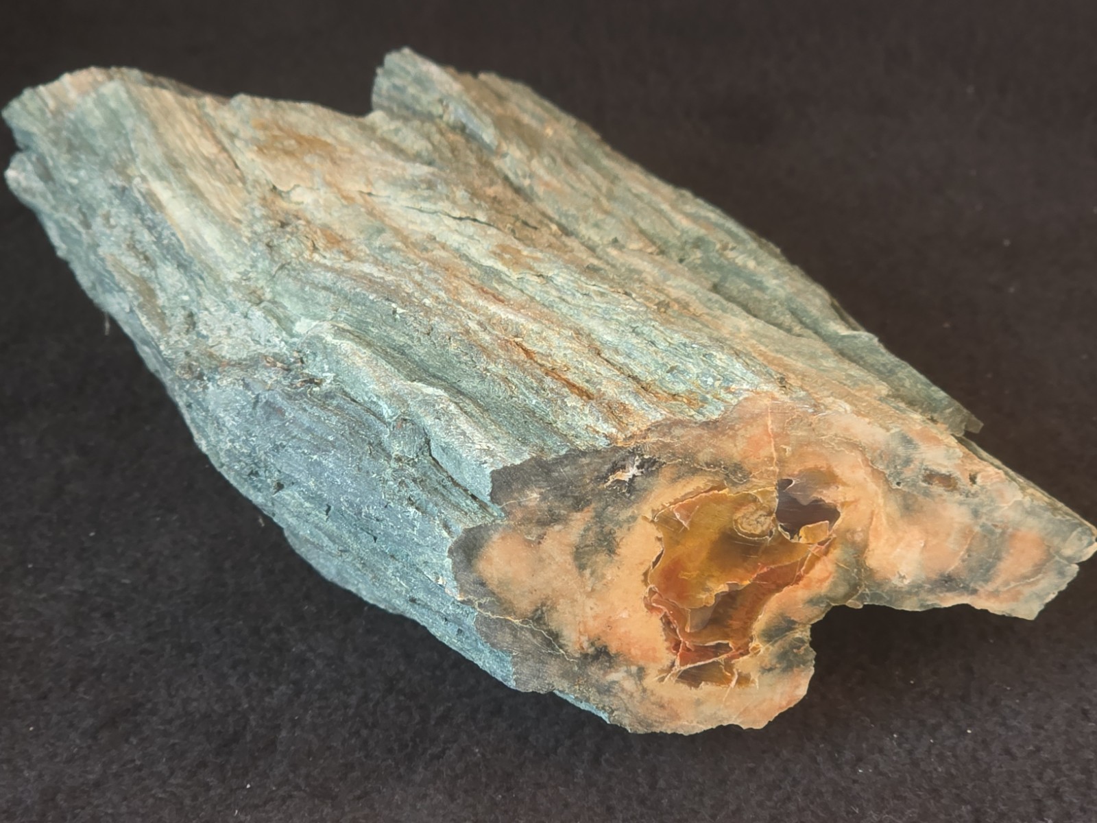 Beautiful Rare Green Bark Petrified Wood From Northeastern Arizona