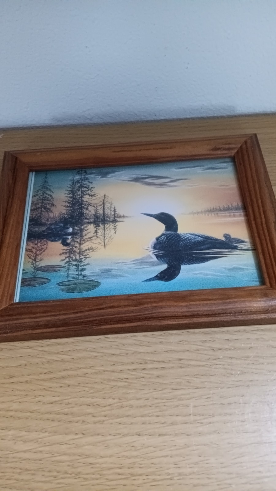 Vintage Framed Loon Family On Lake Picture Wall Decor