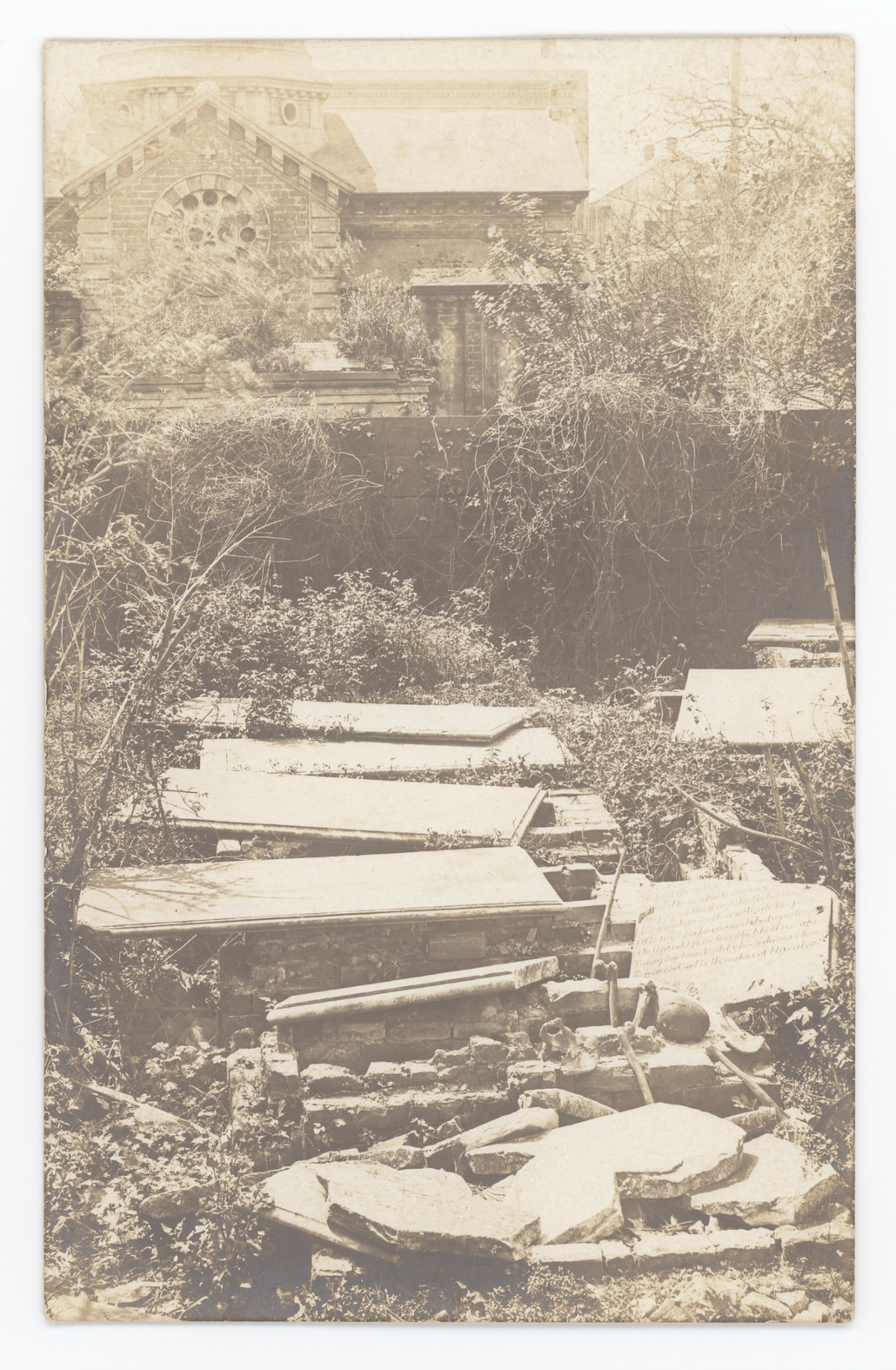 RPPC 1900s Grave Robbers Damaged Cemetery Bones Dead People Real Photo Postcard