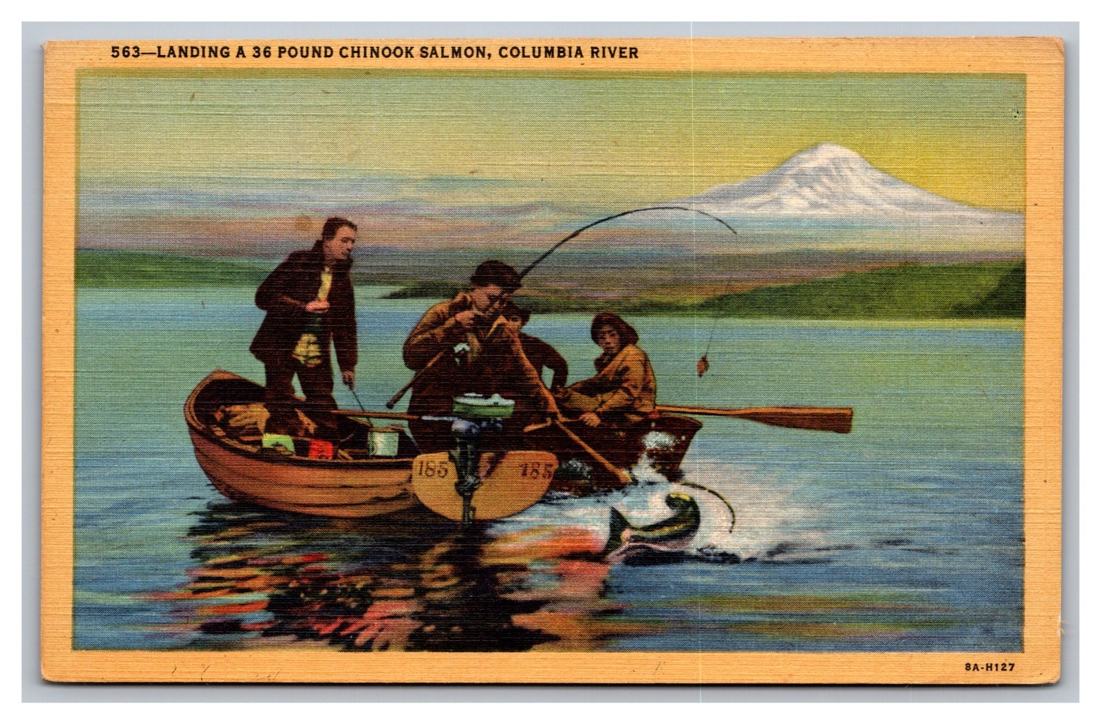 Columbia River OR Oregon Landing a 36 Pound Chinook Salmon Linen Postcard
