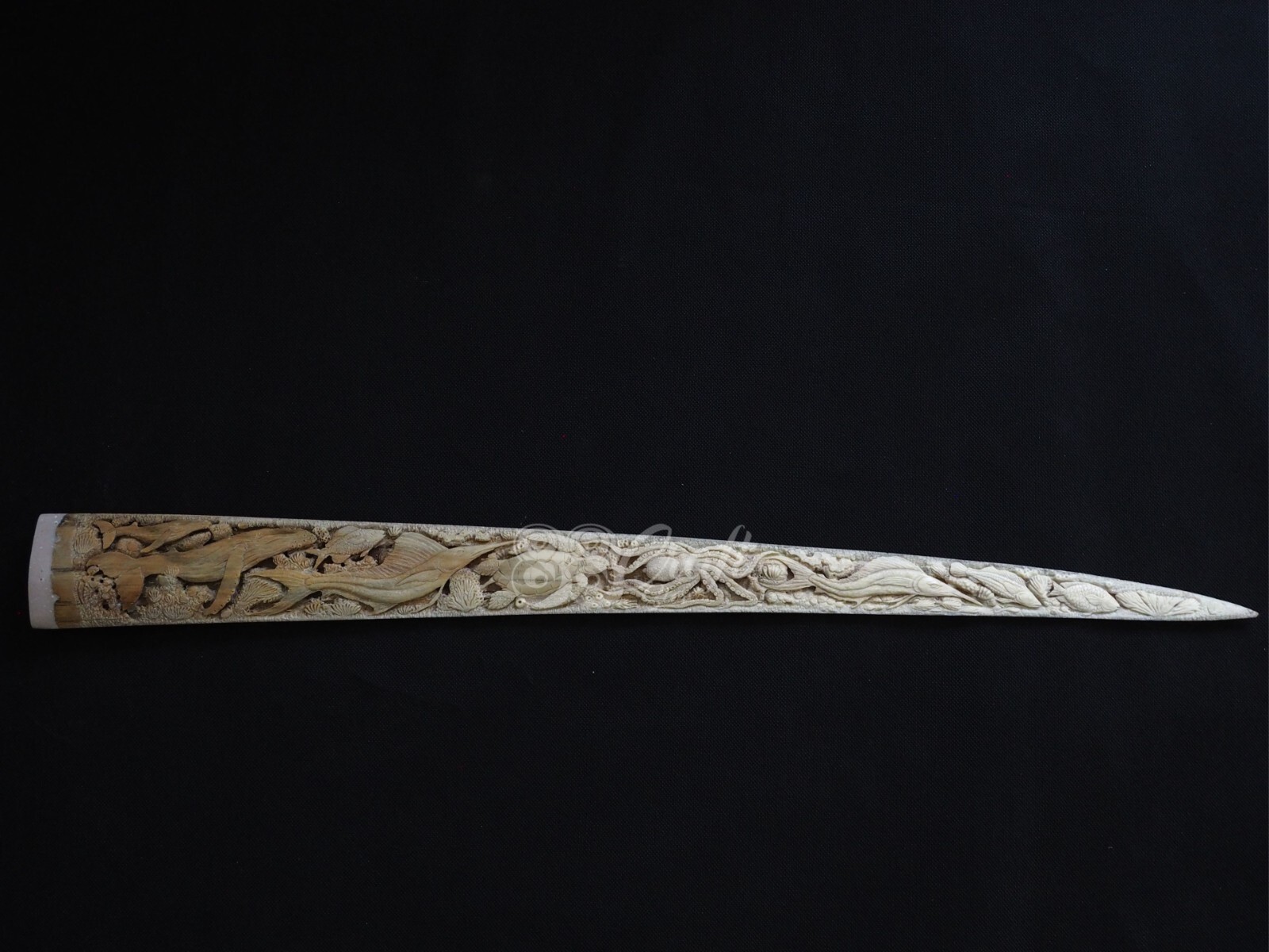 Swordfish Bill Real Marlin Bone Carved Handmade Marlin Fish Model 30''